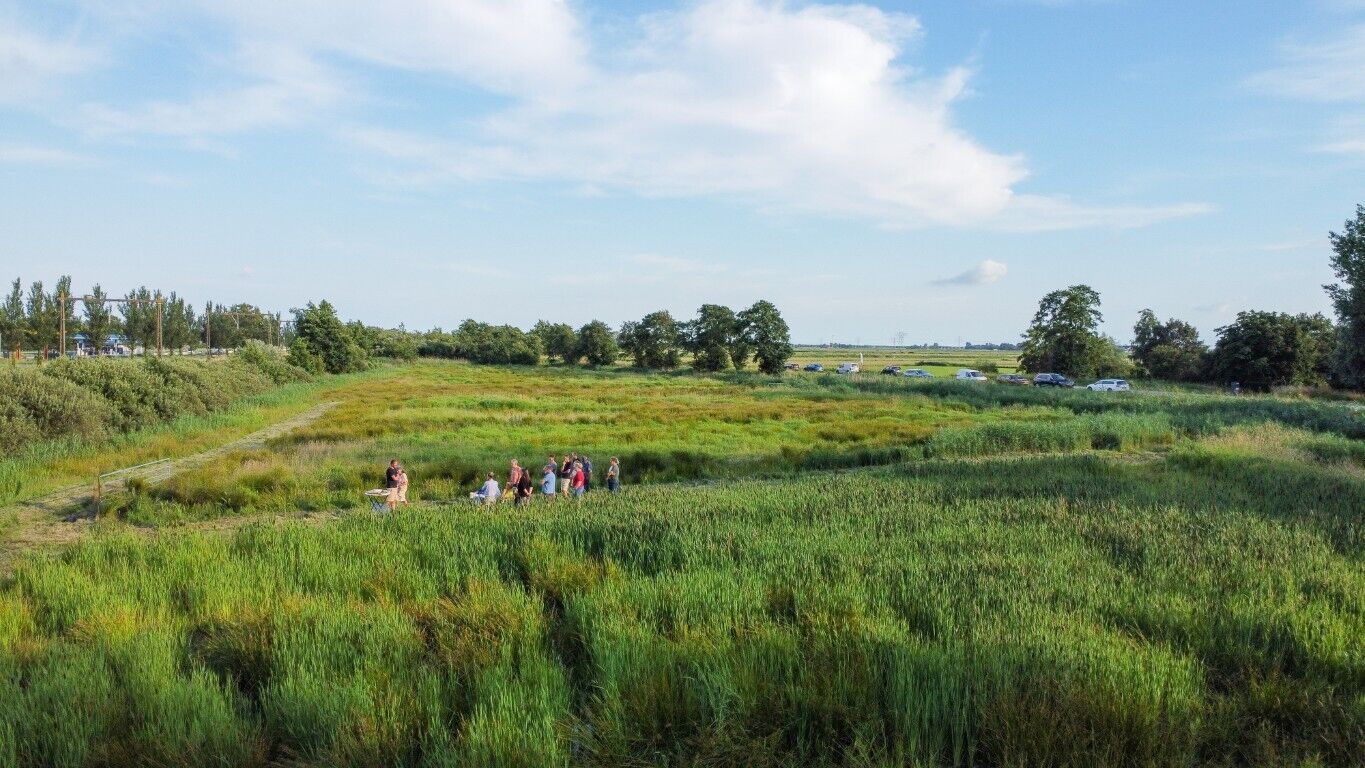 agllisdoddekbergen0267-(middel