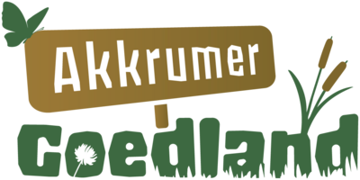 logo-haeder