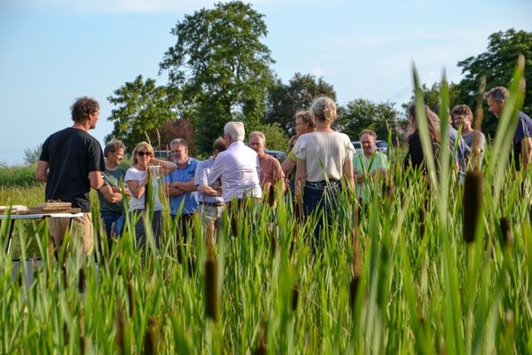 agllisdoddekbergen0448-(middel