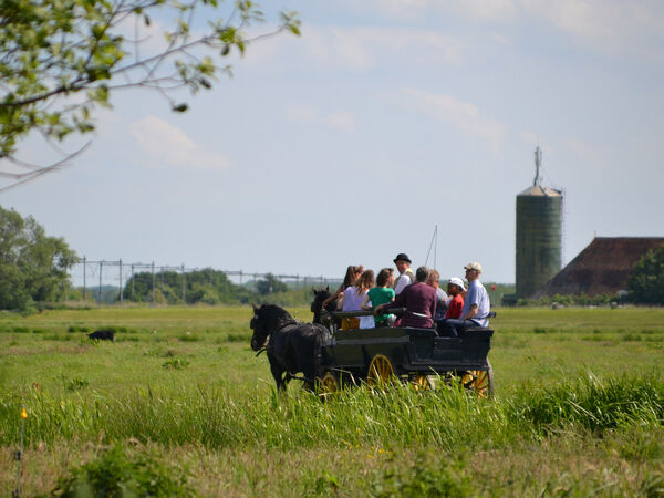 akkrumer-goedland-safari-krist