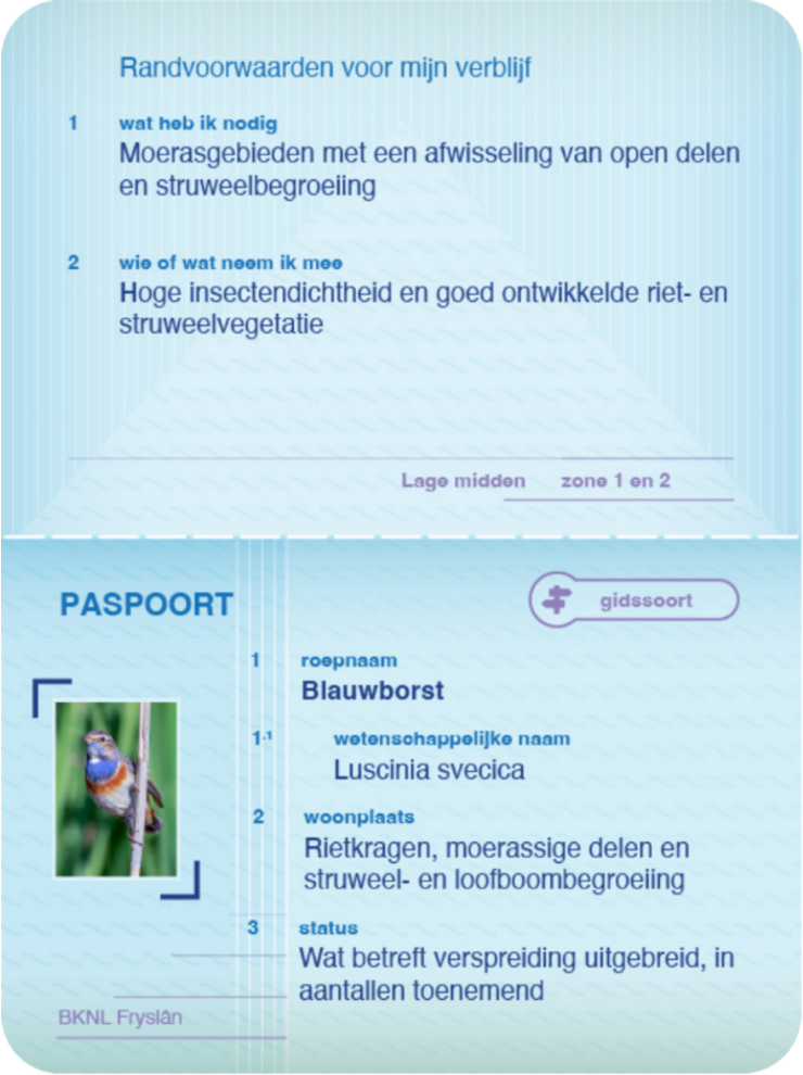 -paspoortblauwborst-vrijstaand