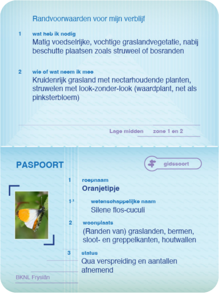 -paspoortoranjetipje-vrijstaan