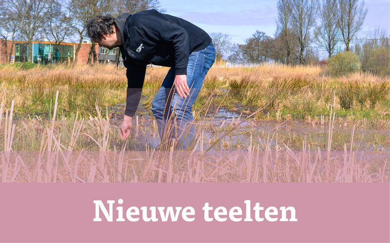 agl-blokken-projecten-liggend2