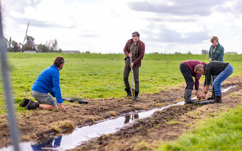 binnair-cranberries-akkrumergo