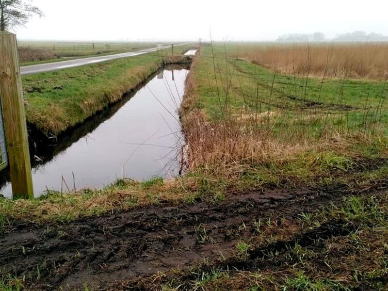 bijdrage