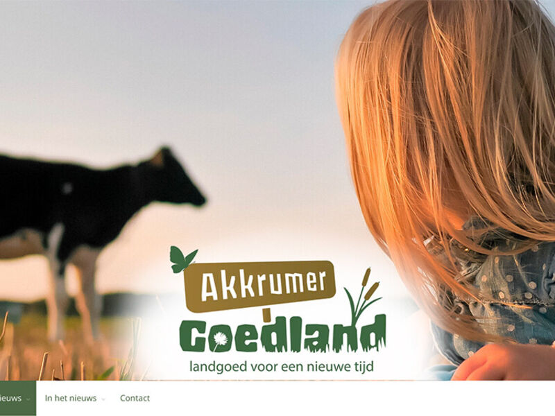header-website-1