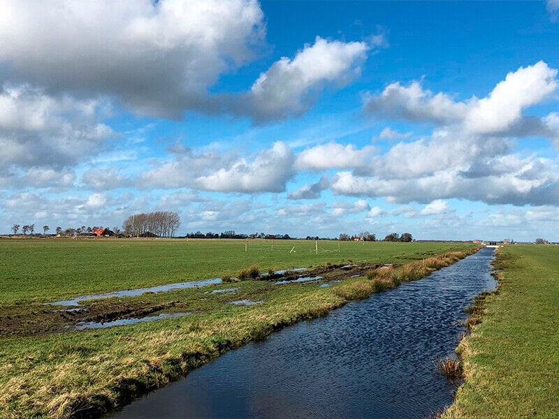 omrop-fryslan