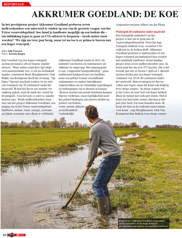 artikel-p42