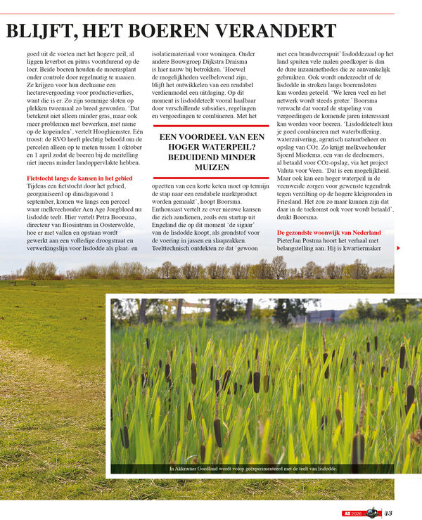 artikel-p43