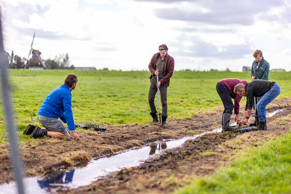 binnair-cranberries-akkrumergo