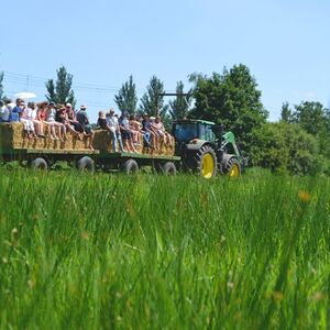 akkrumer-goedland-1juli-kristi