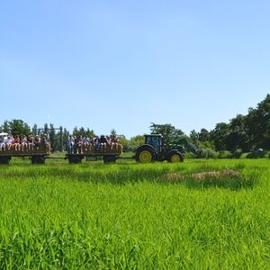 akkrumer-goedland-1juli-kristi