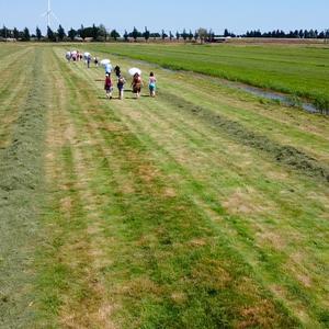 akkrumer-goedland-1juli-kristi