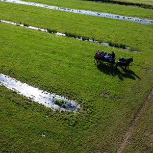 akkrumer-goedland-4juli-kristi