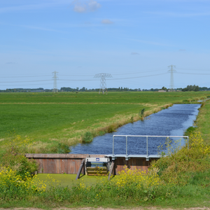 akkrumer-goedland-4juli-kristi